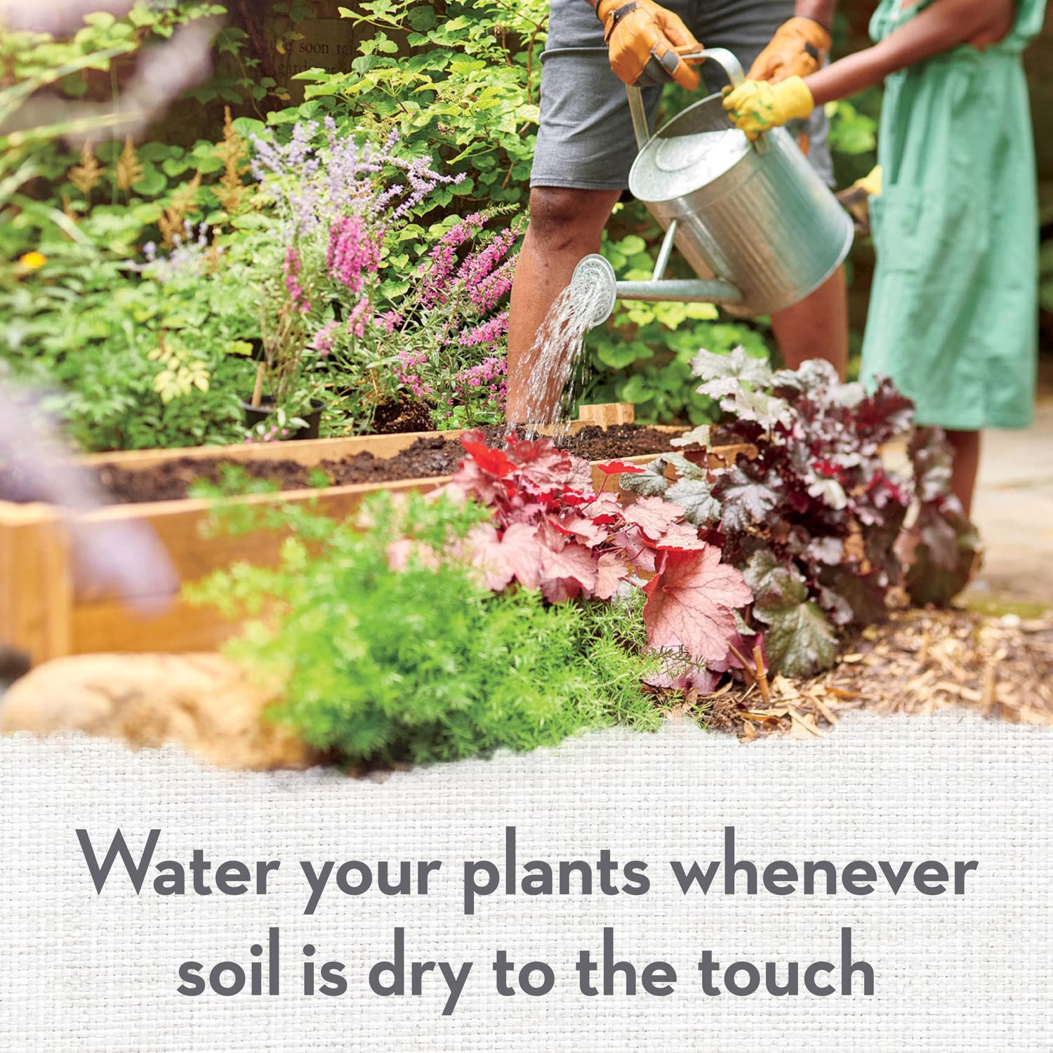 Whitney Farms Organic Fruit and Vegetable Raised Bed Mix 1.5 cu ft