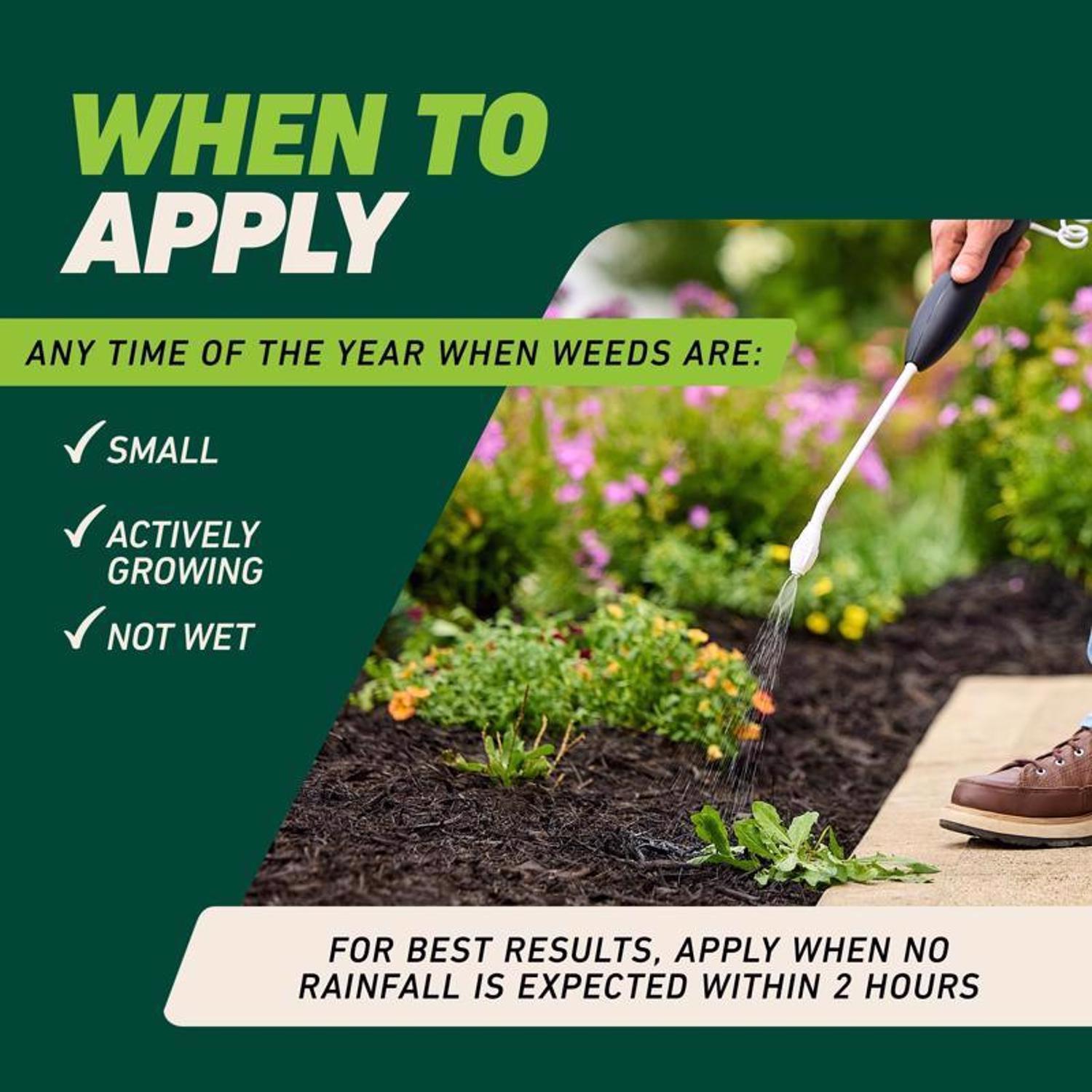 Ortho GroundClear Weed and Grass Killer RTU Liquid 1 gal