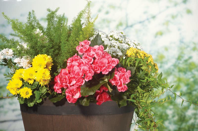 Southern Patio 12.2 in. H X 20.5 in. W X 20.5 in. D Resin Whiskey Barrel Planter Brown