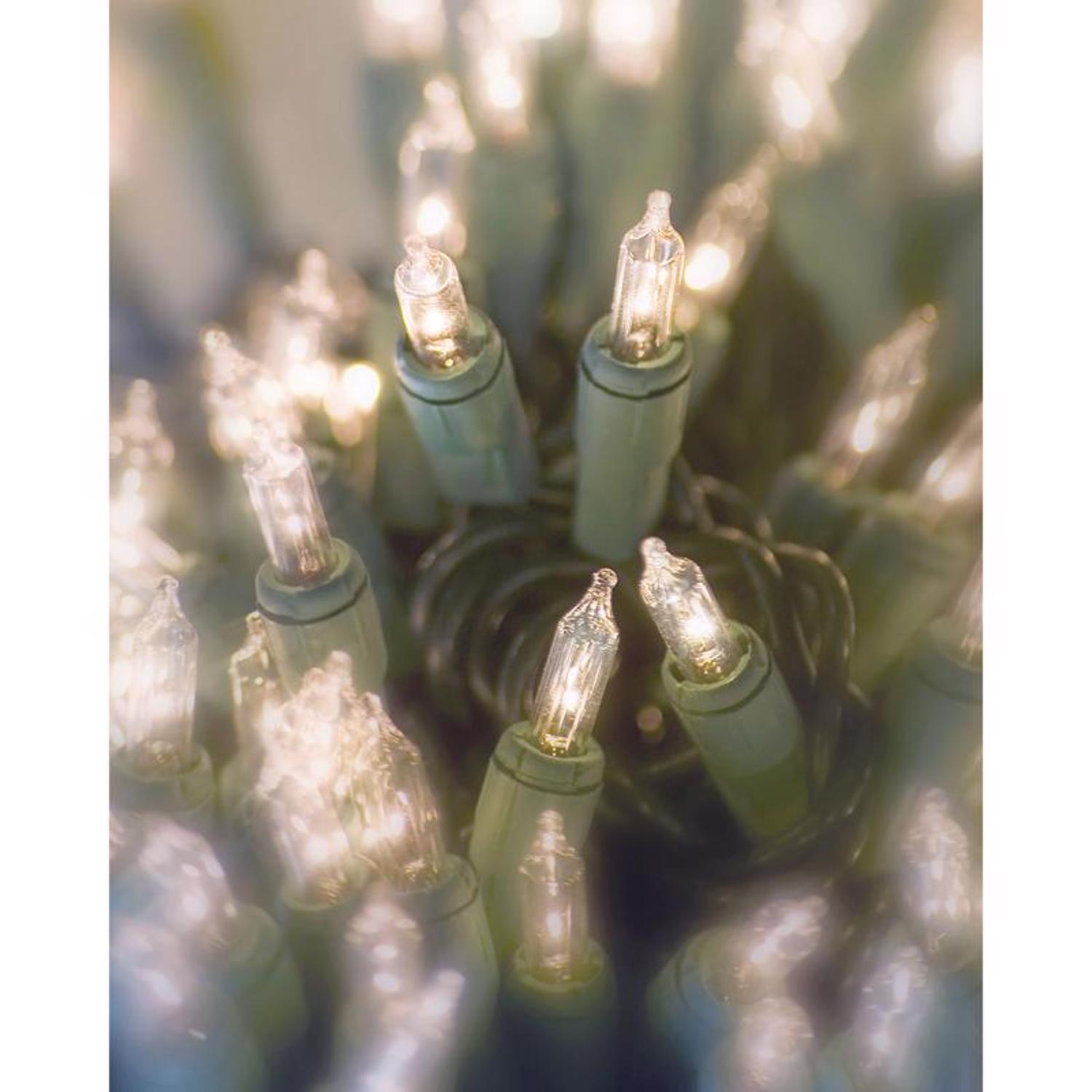 Celebrations Red Incandescent Mini Clear/Warm White 300 ct String Christmas Lights 62 ft.