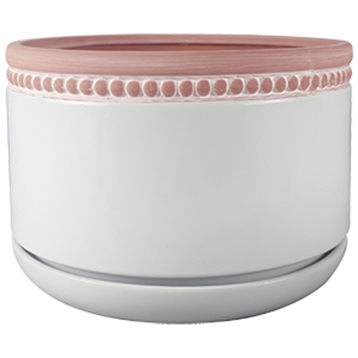 Trendspot Ada 4.5 in. H X 6 in. W X 6 in. D X 6 in. D Ceramic Ceramic Pot Whitewash