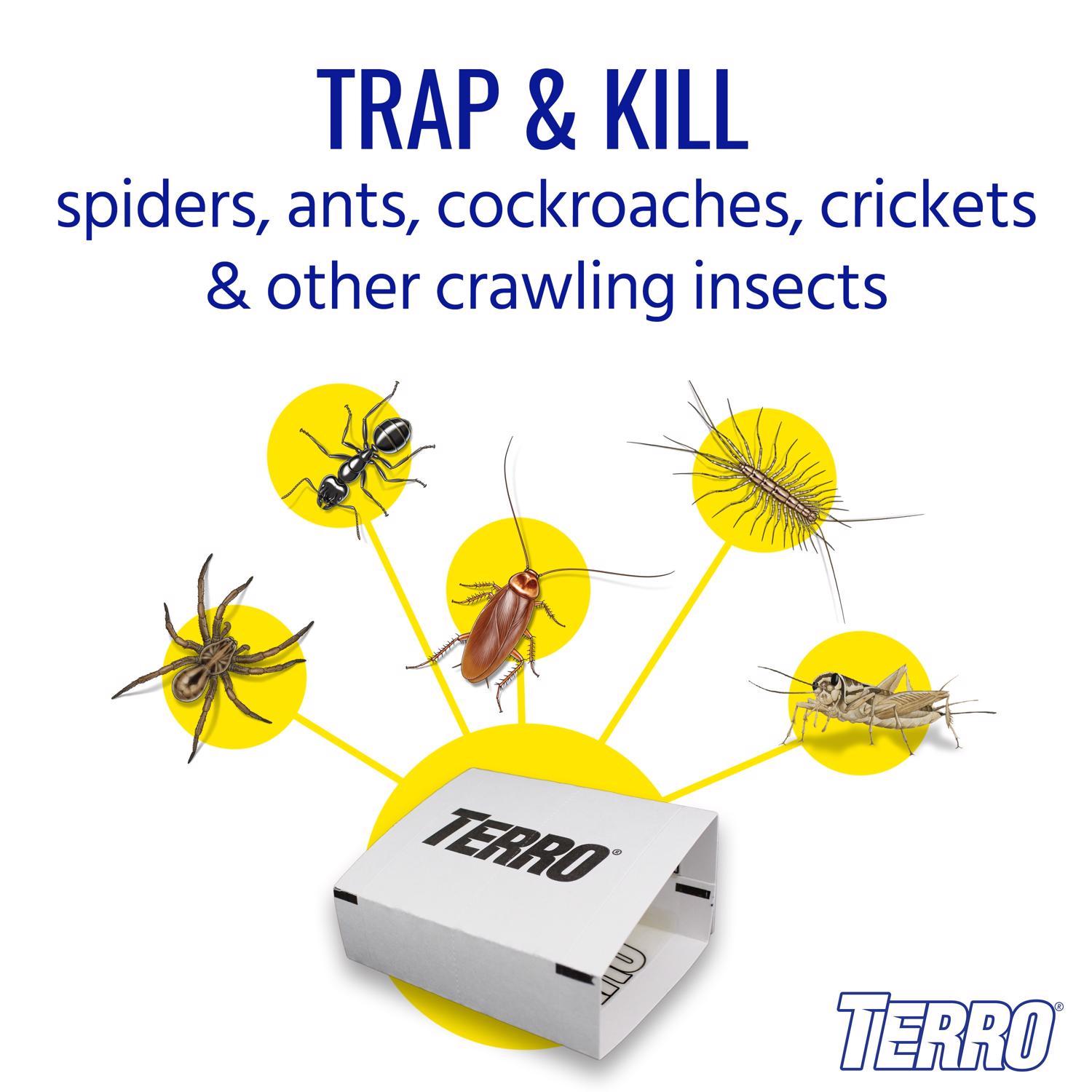 TERRO Insect Trap 4 pk