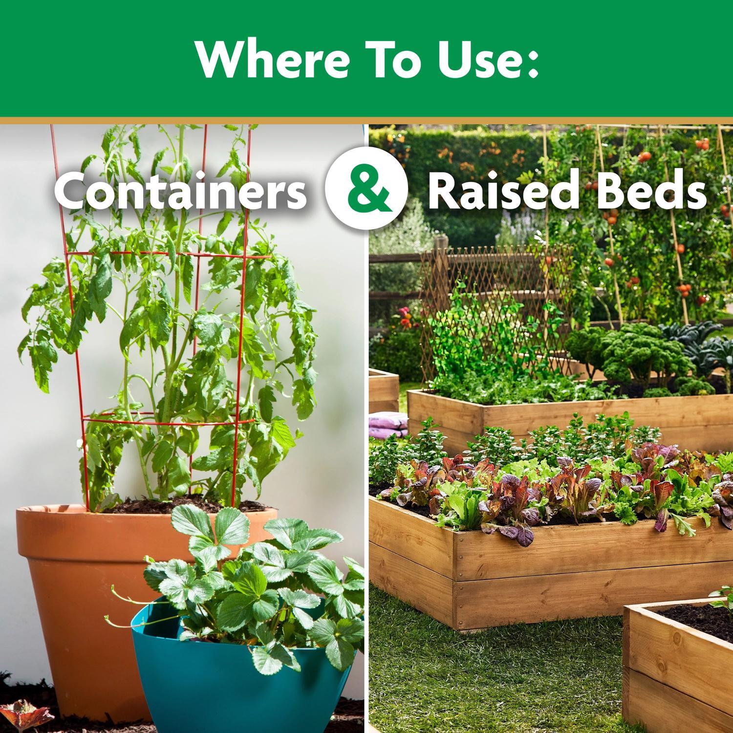 Miracle-Gro Granules Tomato Plant Food 1.5 lb