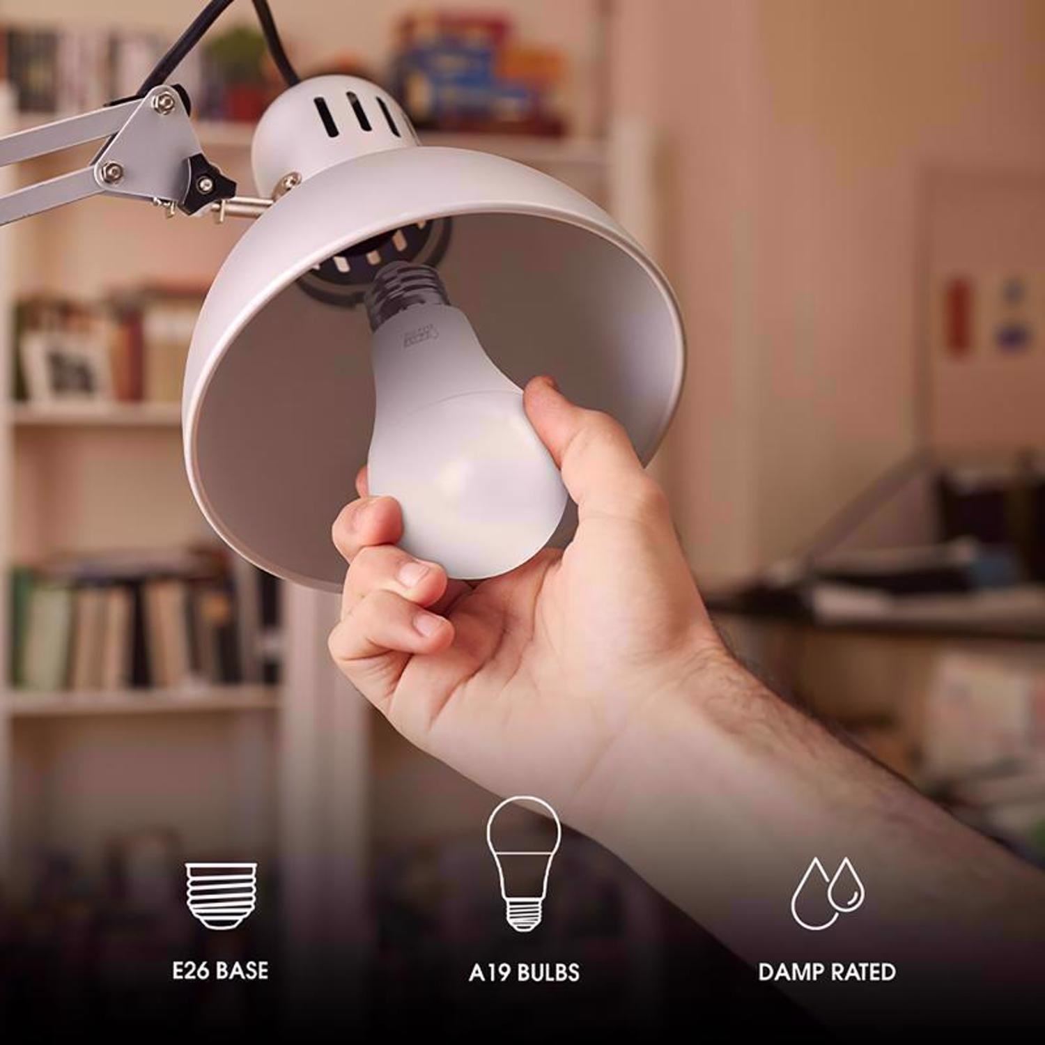 Feit A19 E26 (Medium) LED Bulb Daylight 60 Watt Equivalence 10 pk