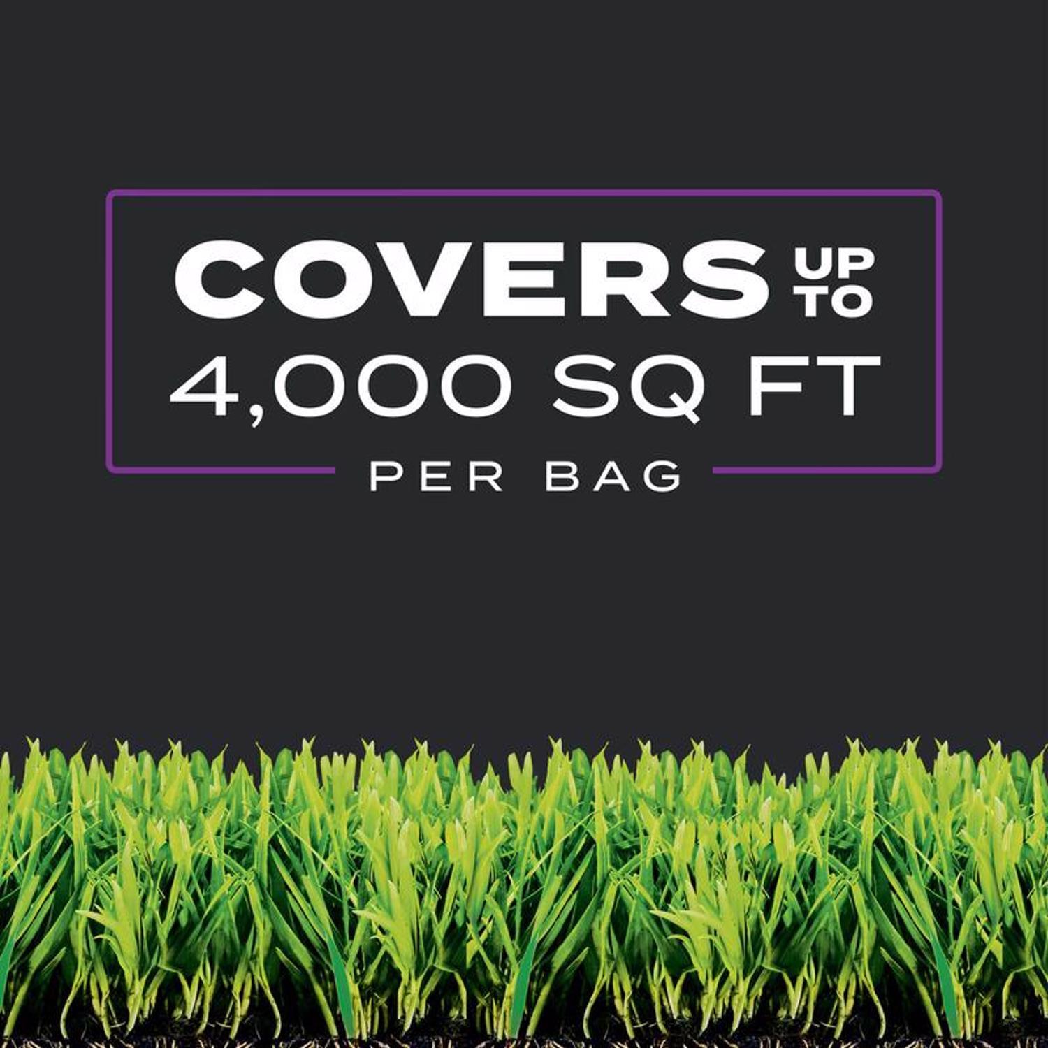 Scotts Turf Builder Southern Weed & Feed Lawn Fertilizer For Multiple Grass Types 4000 sq ft