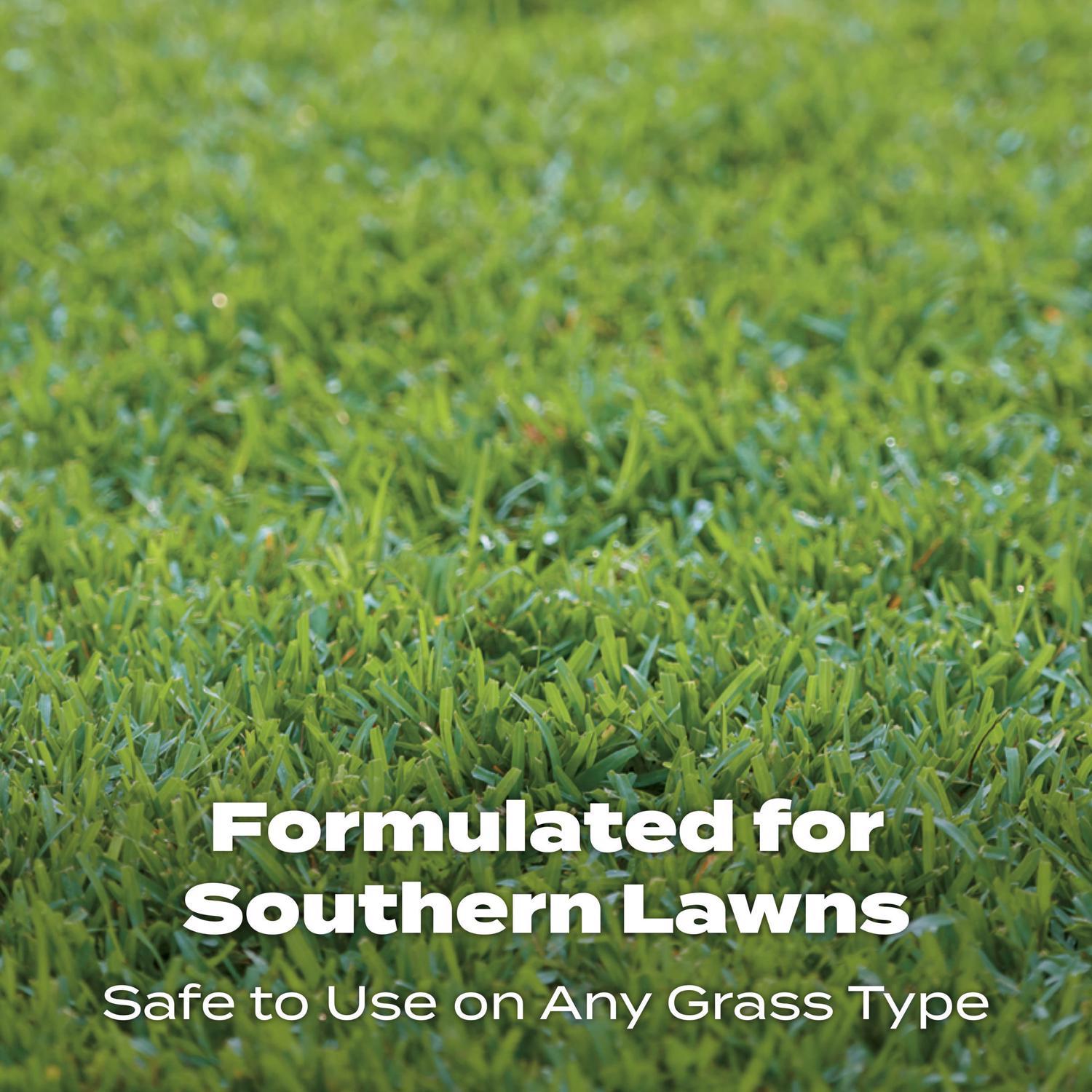 Scotts Turf Builder Southern All-Purpose Southern Lawn Food For All Grasses 10000 sq ft