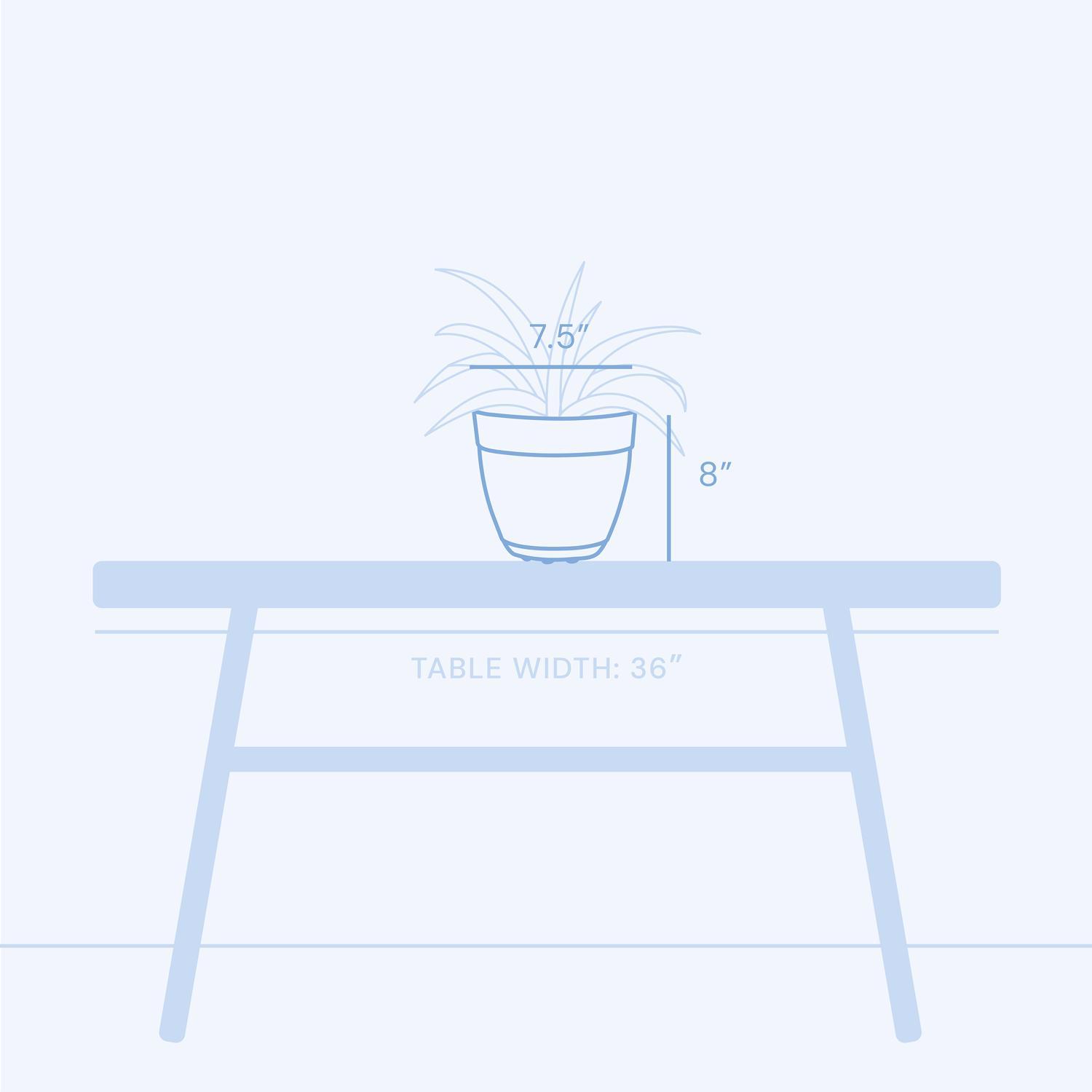 Bloem Dayton 8 in. D Plastic Planter Coral