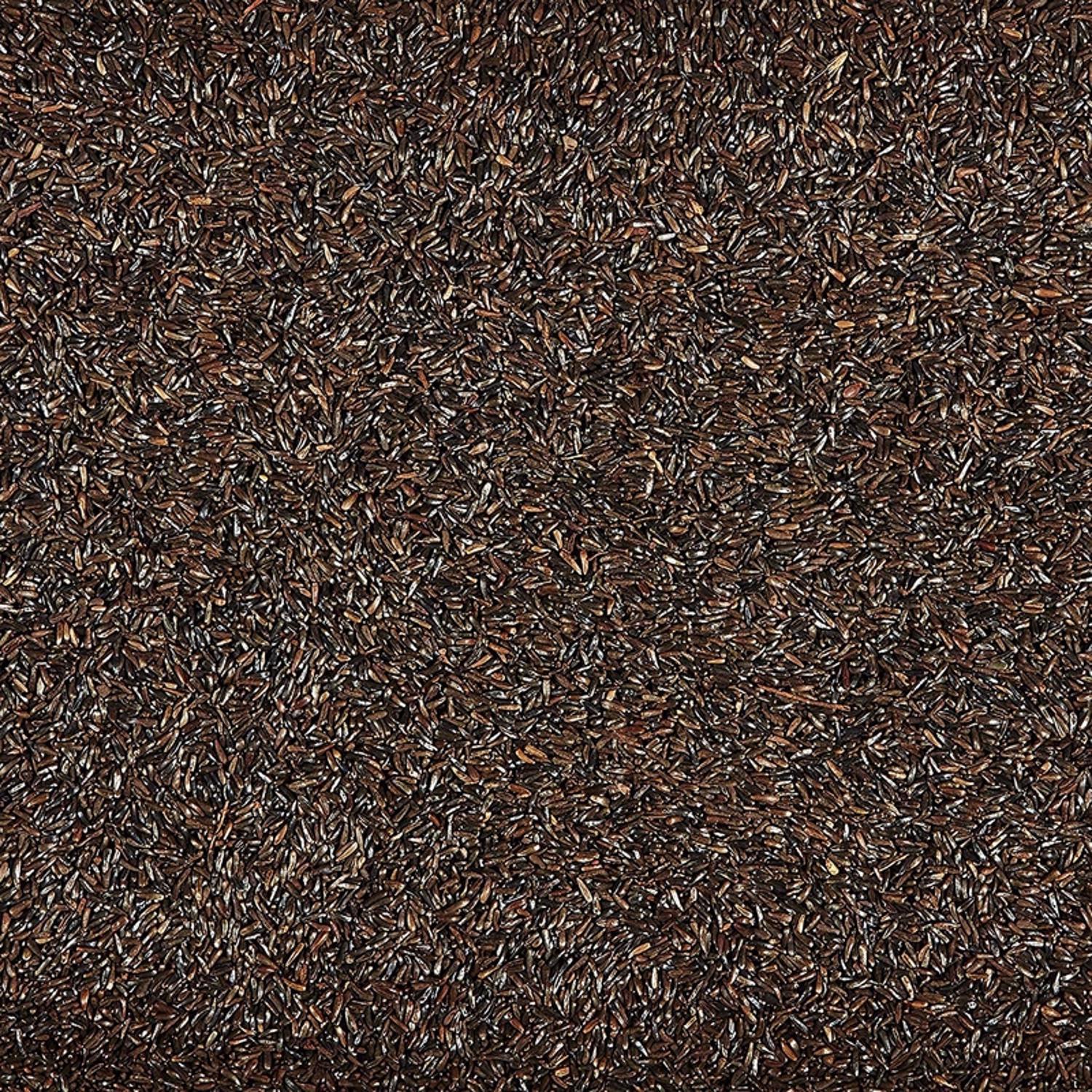 Kaytee Nyjer Finch 26 oz Mesh Finch Sock Bird Feeder