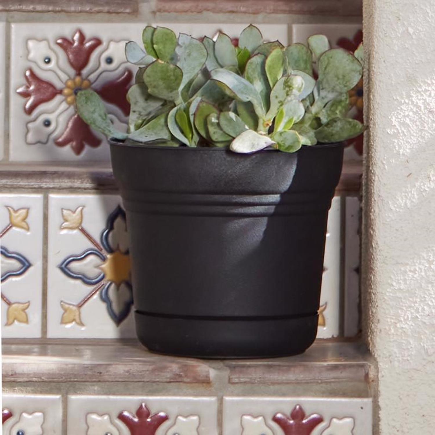 Bloem Saturn 8.5 in. H X 9.75 in. W Plastic Traditional Planter Black