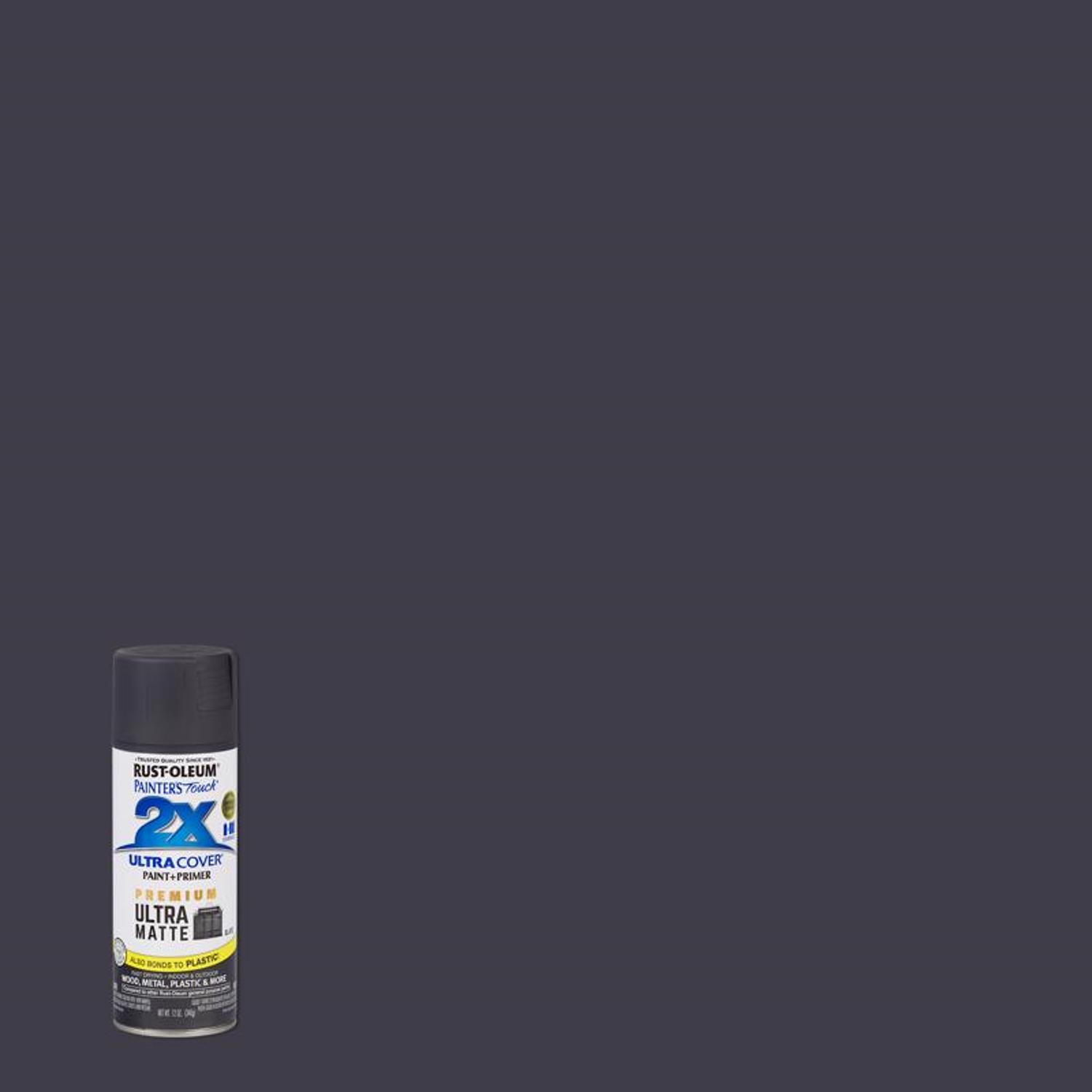 Rust-Oleum Painter's Touch 2X Ultra Cover Ultra Matte Slate Paint+Primer Spray Paint 12 oz