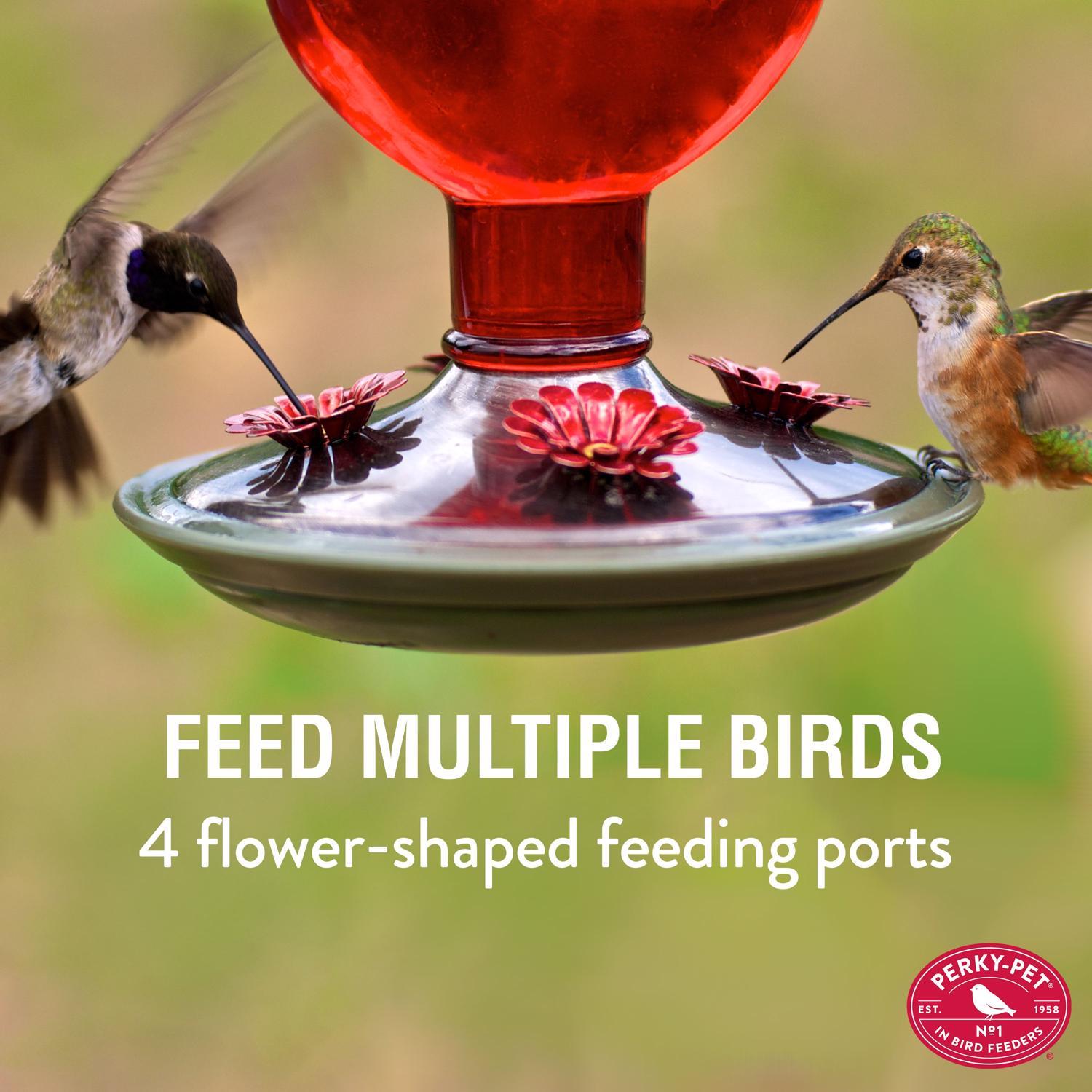 Perky-Pet Hummingbird 16 oz Glass/Metal/Plastic Antique Bottle Nectar Bird Feeder 4 ports