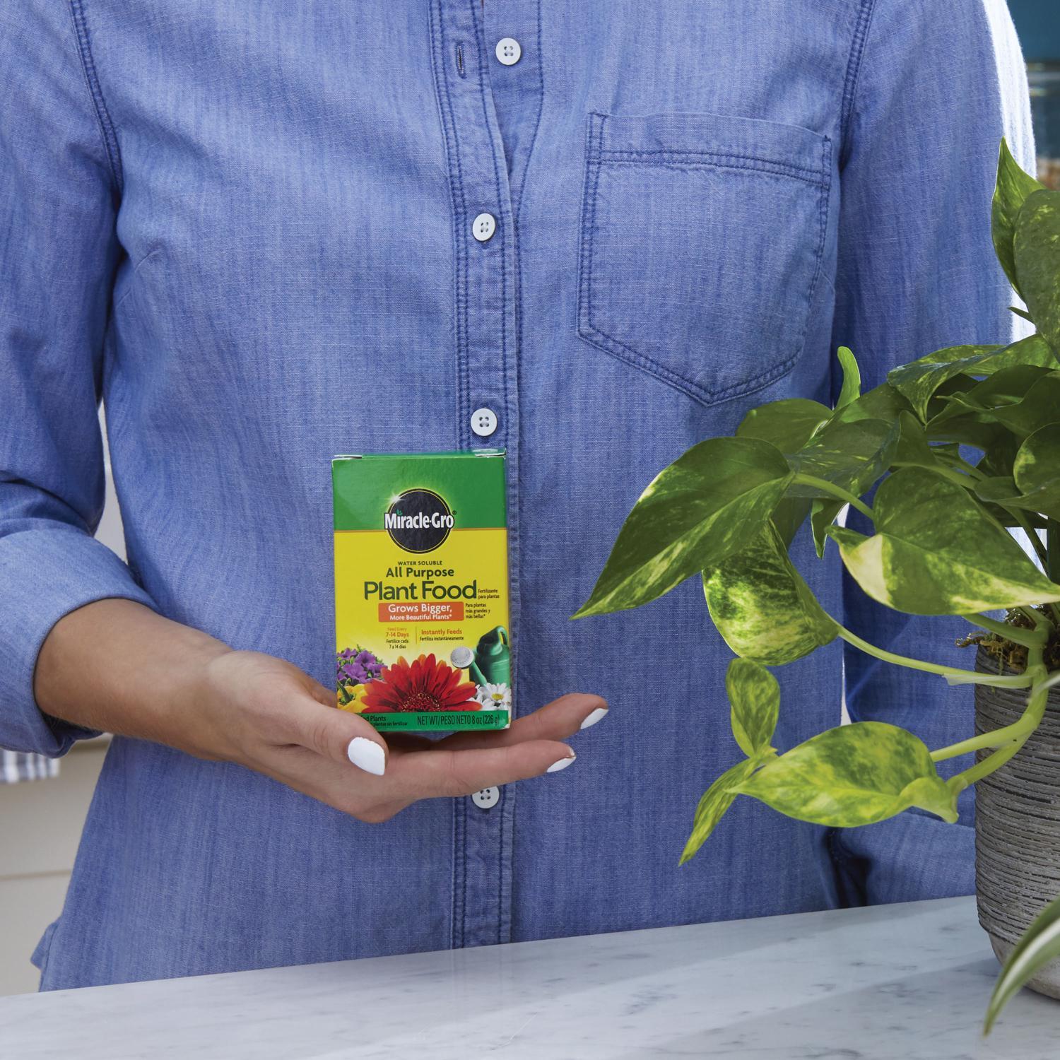 Miracle-Gro Granules Tomato, Tulips, Strawberries Plant Food 8 oz