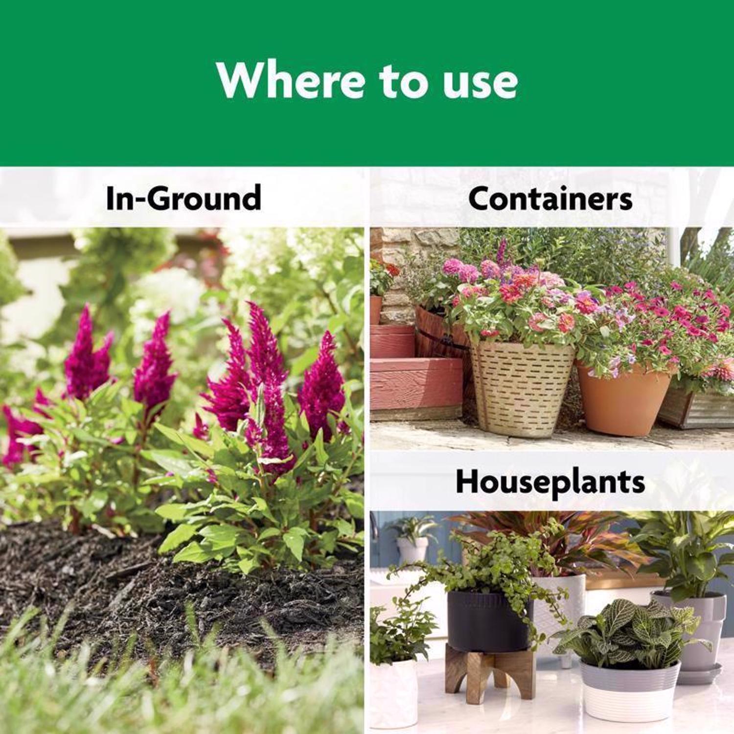 Miracle-Gro Shake 'n Feed Granules Plant Food 4.5 lb