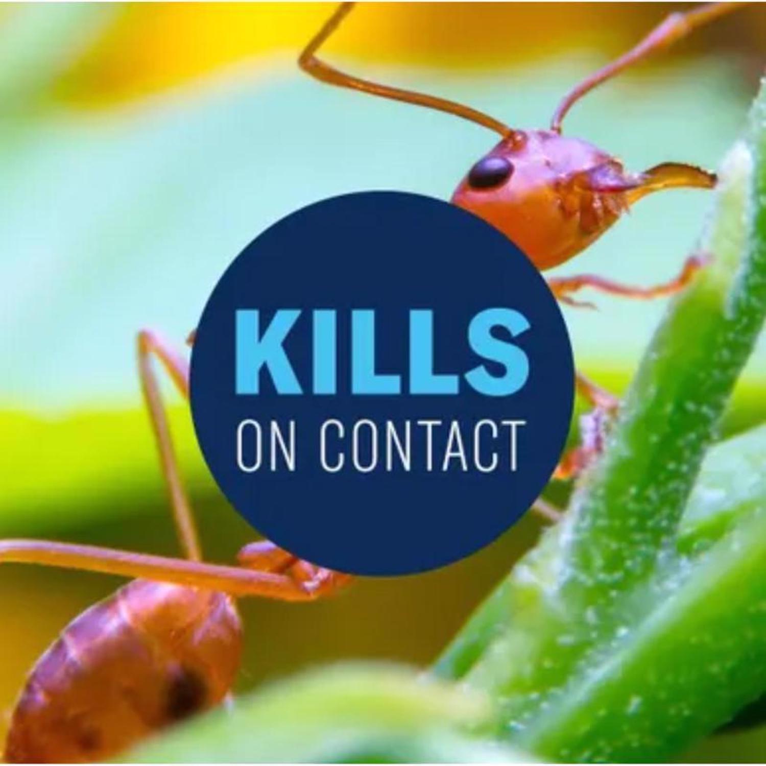 BioAdvanced Fire Ant Killer Dust 1 lb