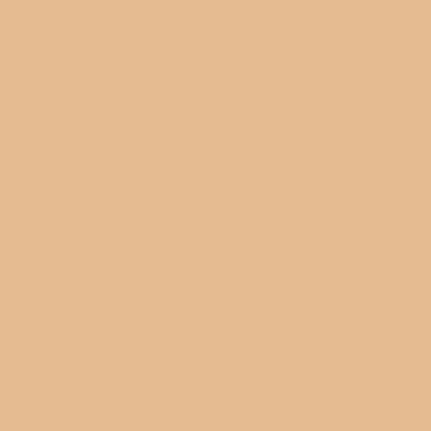 Ace Rust Stop Gloss Almond Protective Enamel Spray Paint 15 oz