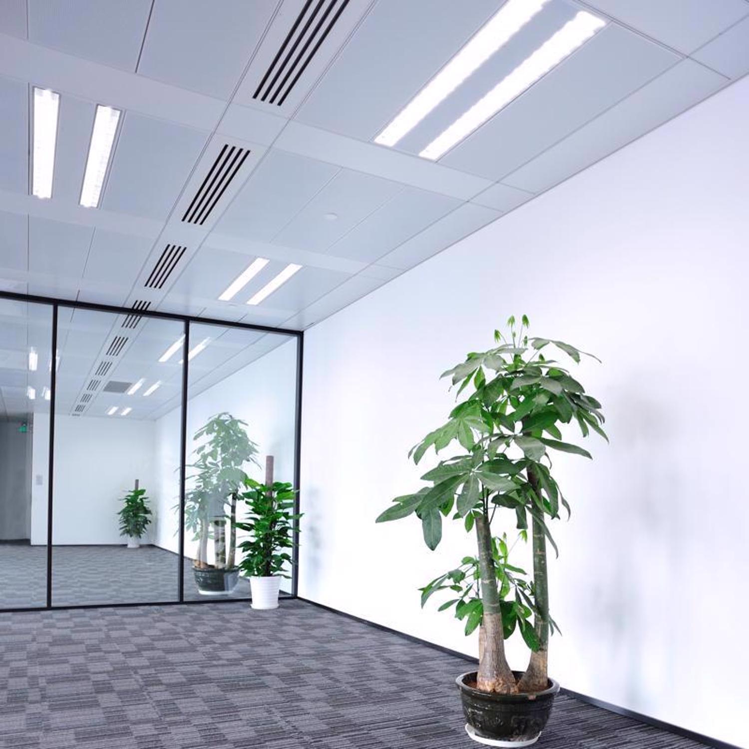 Feit Legacy Bulbs 8 W T5 0.6 in. D X 12 in. L Fluorescent Bulb Bright White Linear 3000 K 1 pk