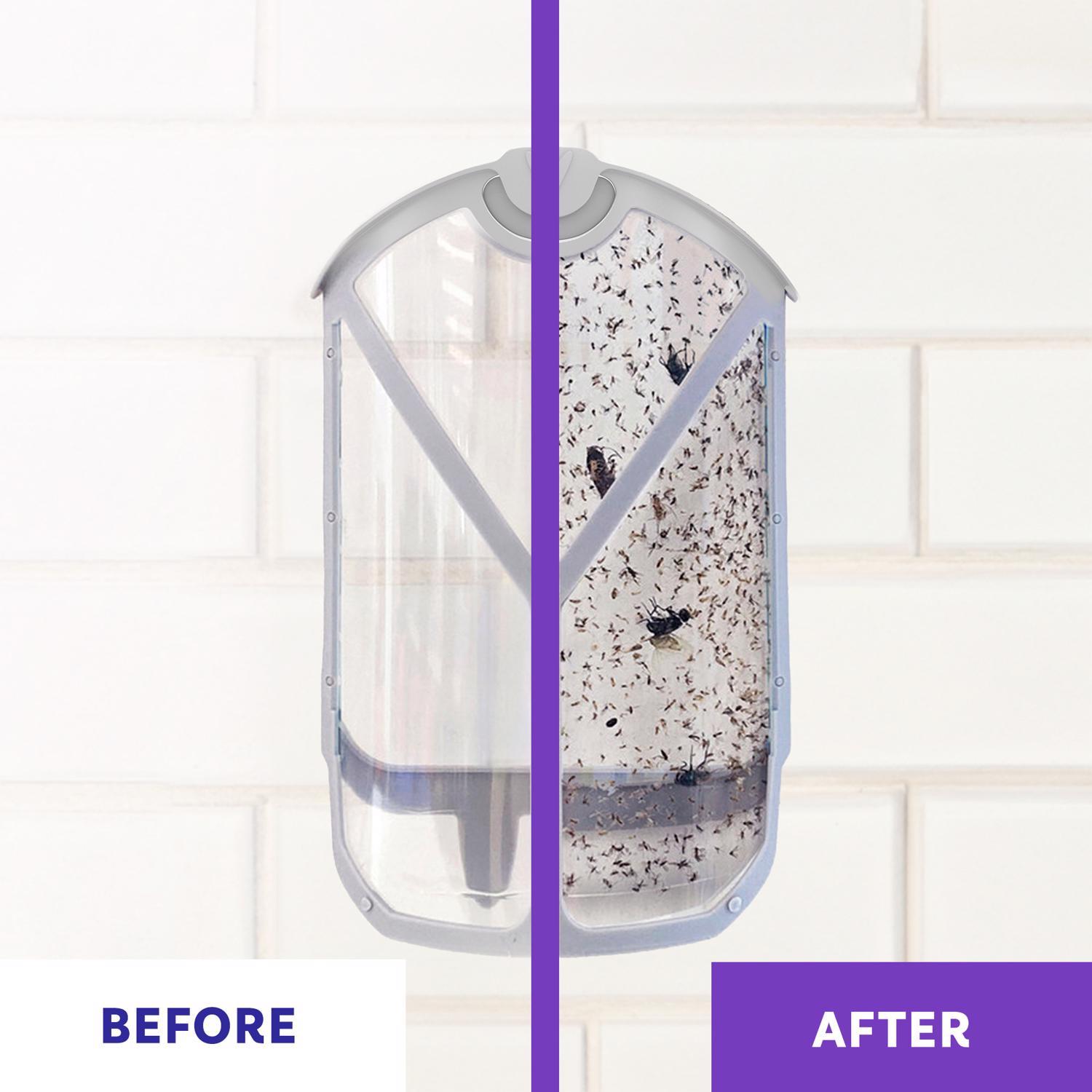 Zevo Value Pack Refills Flying Insect Trap