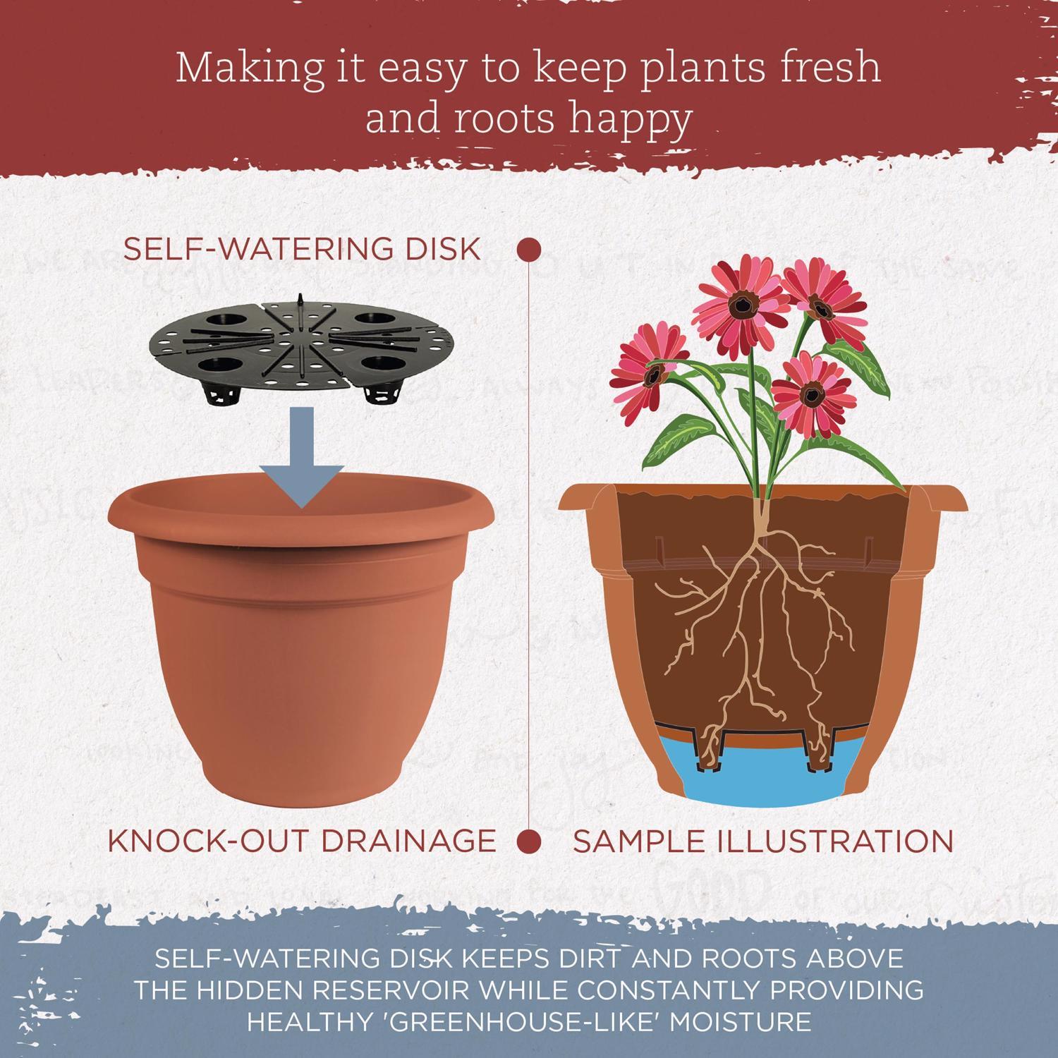 Bloem Ariana 13.75 in. H X 17.75 in. W X 17.75 in. D Plastic Traditional Planter Terracotta