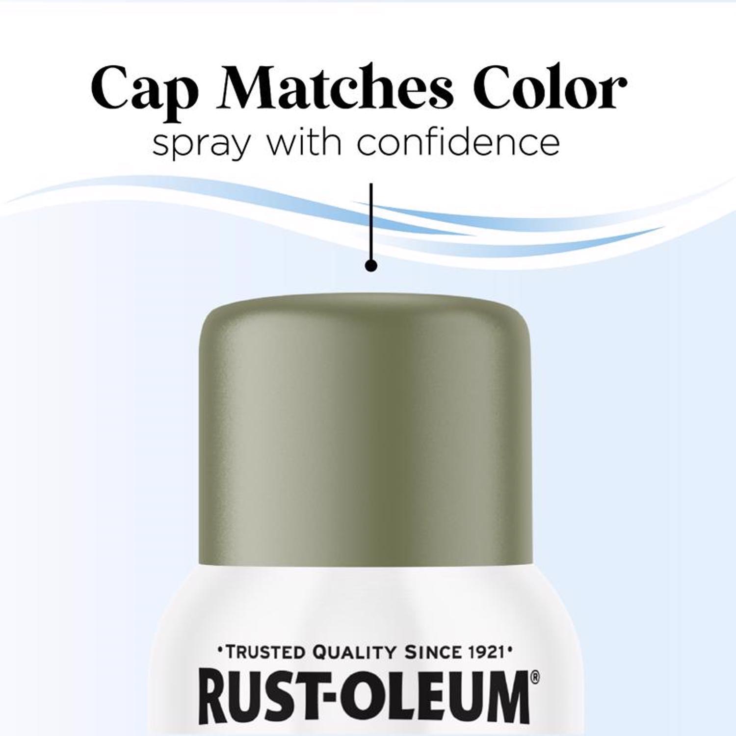Rust-Oleum Low Odor Matte In The Green Spray Paint 11 oz.