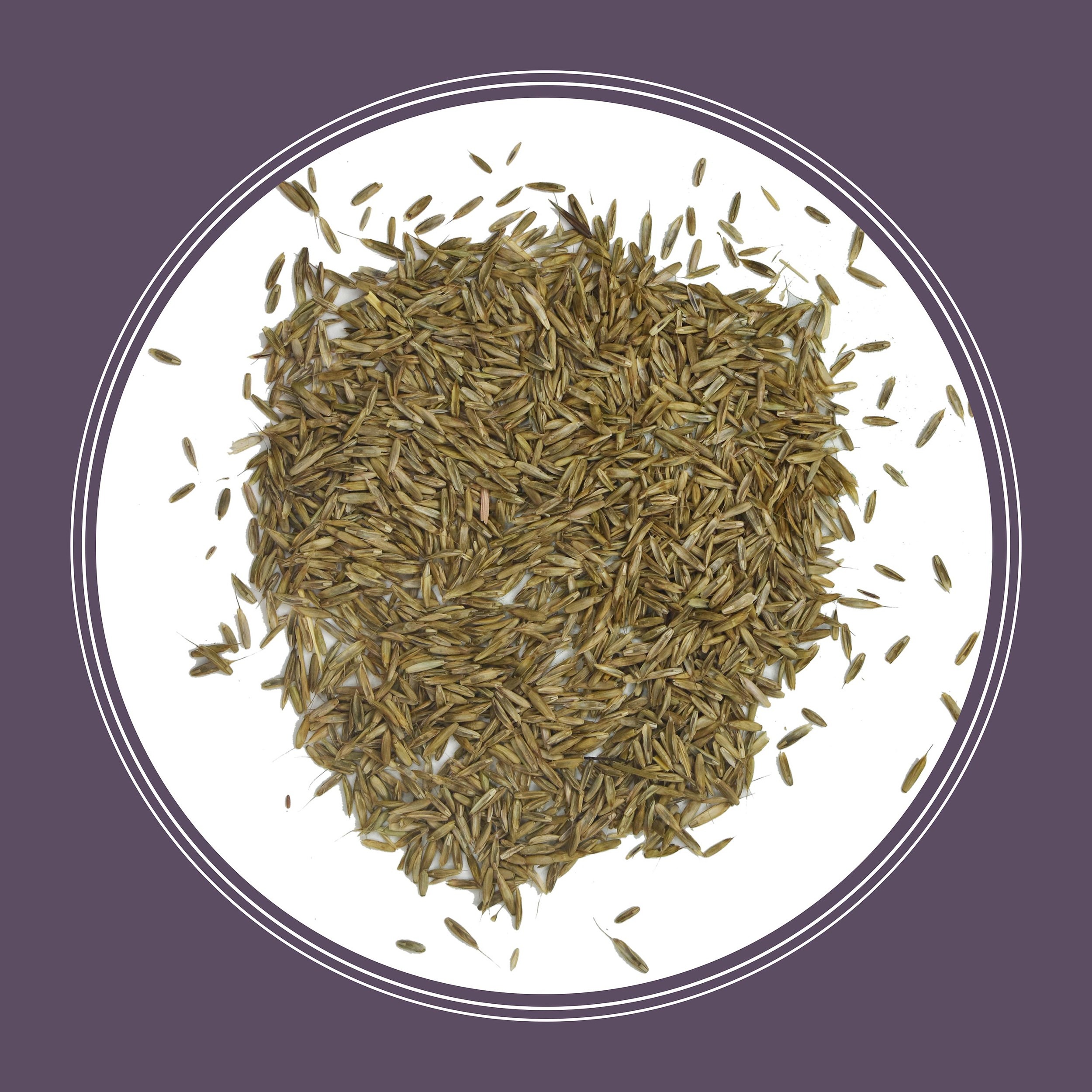 Pennington Annual Ryegrass Grass Seed 25 lb.