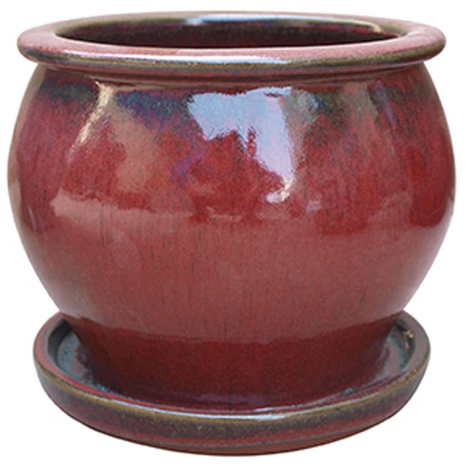 Trendspot 4 in. D Ceramic Planter Assorted