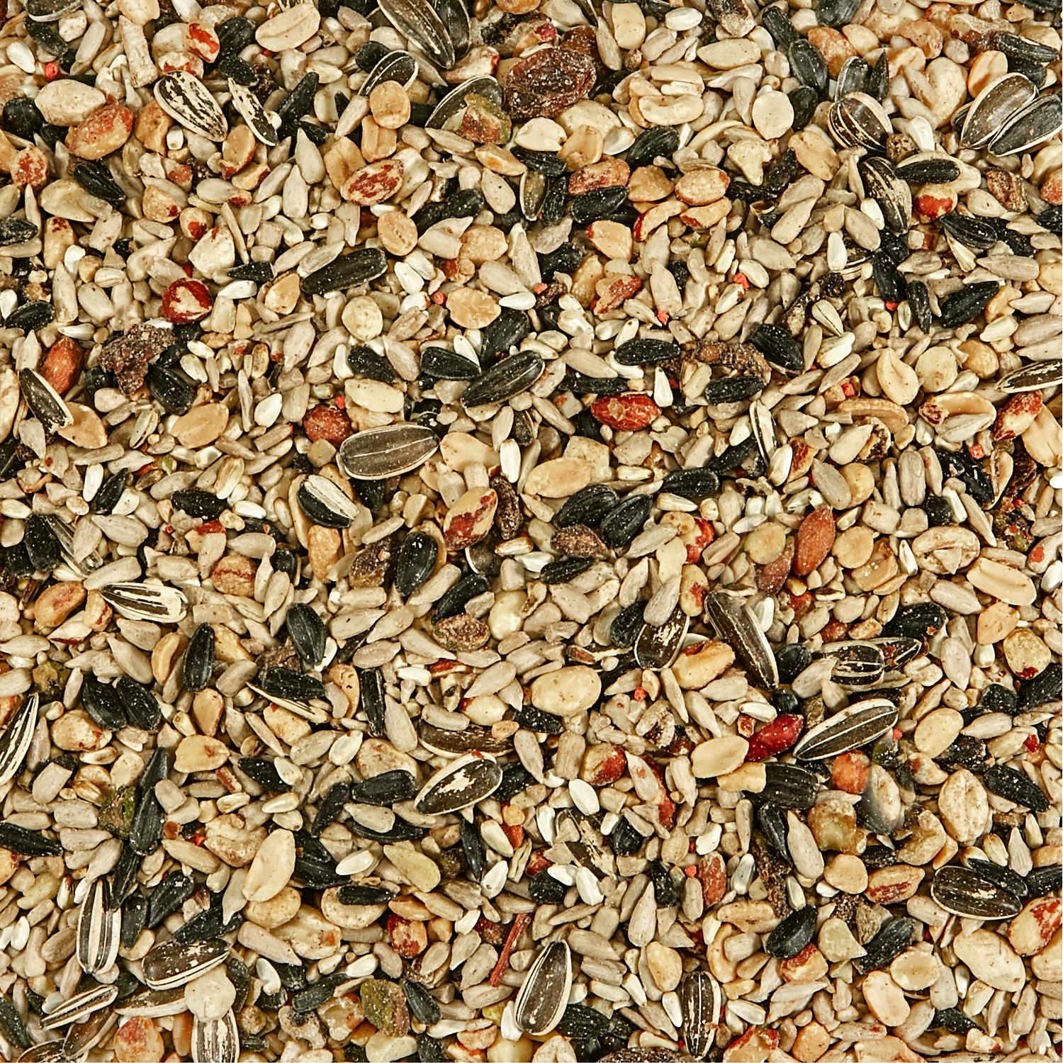 Kaytee Nut & Fruit Blend Wild Bird Food 5 lb