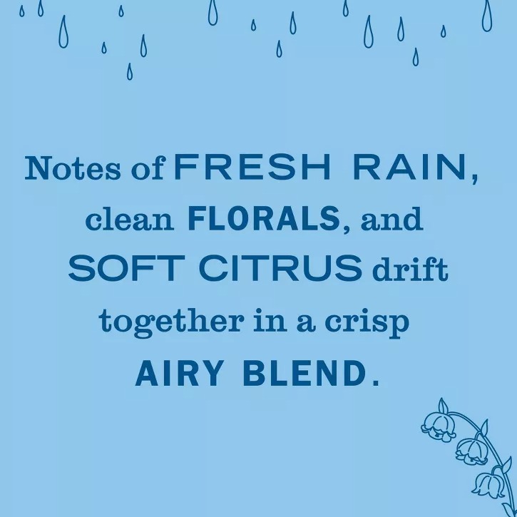Mrs. Meyer's Clean Day Rain Water Scent Air Freshener Starter Kit