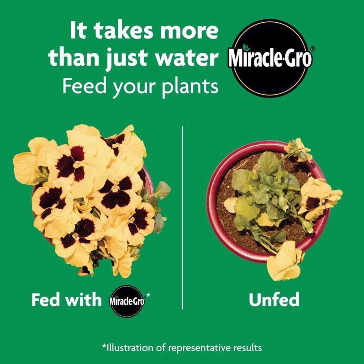 Miracle-Gro Shake 'n Feed Granules Plant Food 4.5 lb