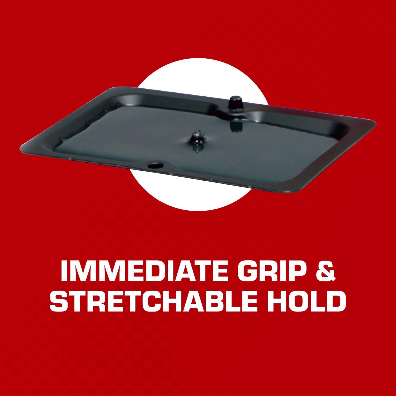 Tomcat Small Glue Trap For Mice 4 pk