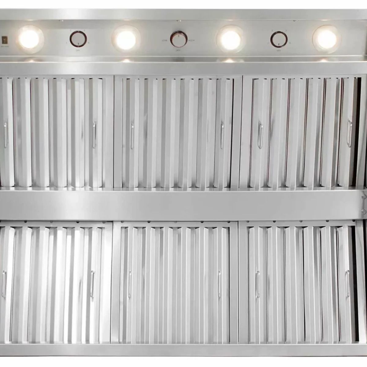 Blaze 48 in. Vent Hood in Stainless Steel