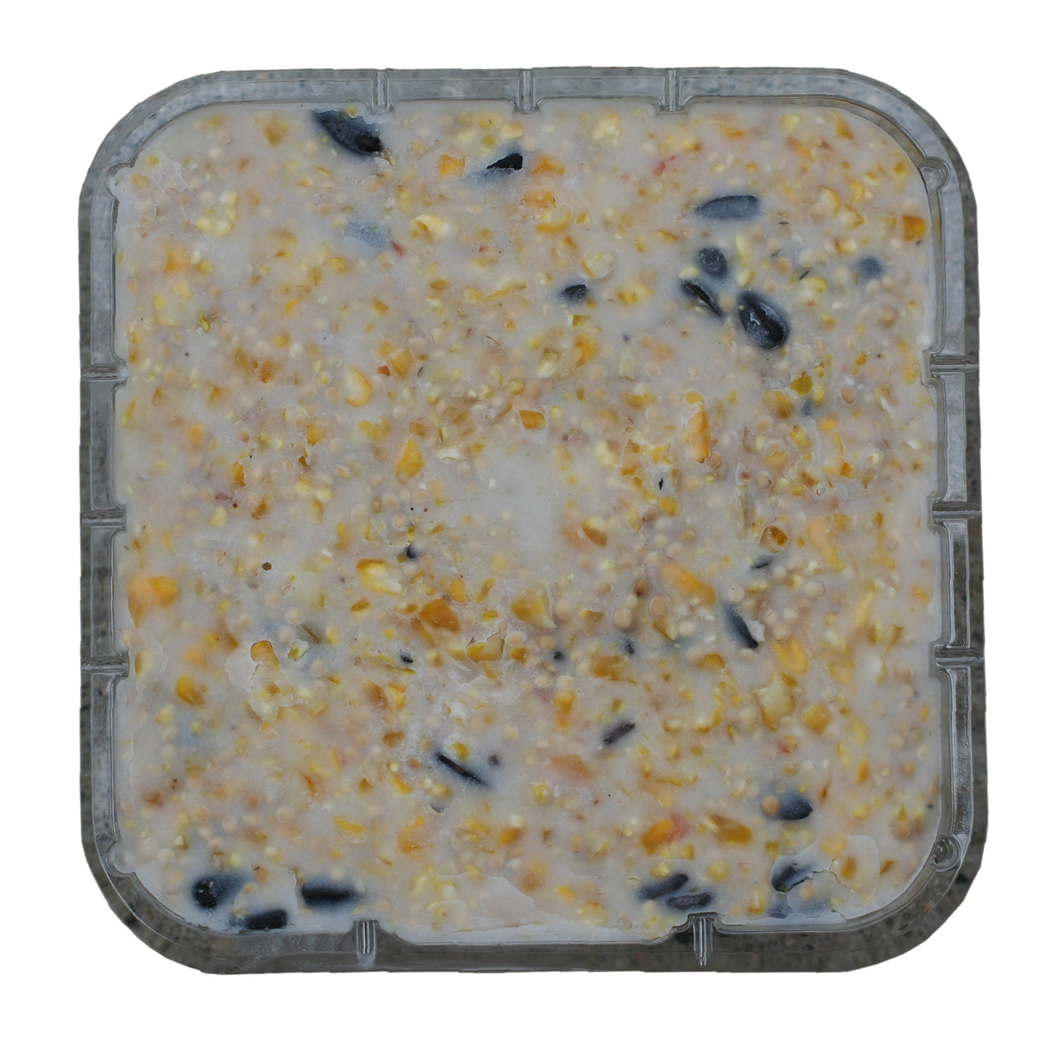 C&S Products Assorted Species Beef Suet Wild Bird Food 11.75 oz