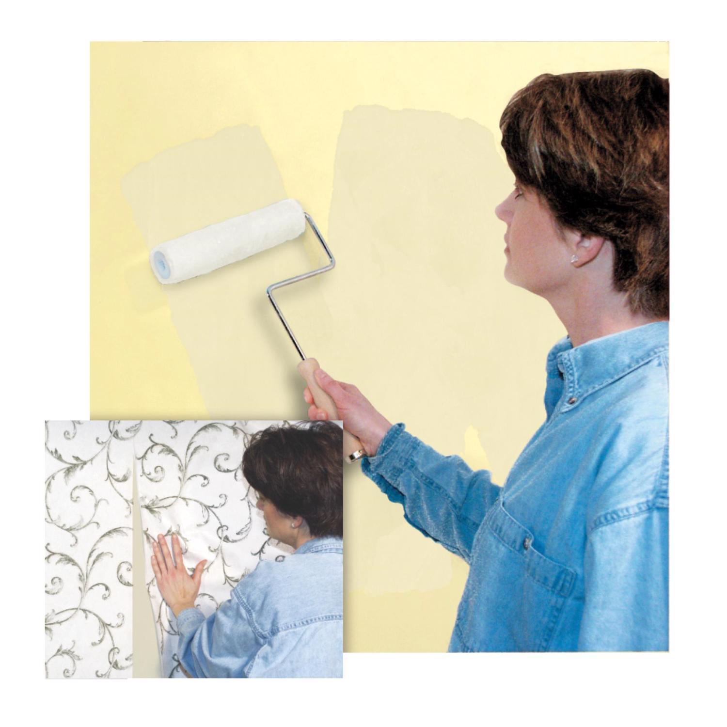 Zinsser Shieldz Clear Wall Size Clear Primer 1 gal