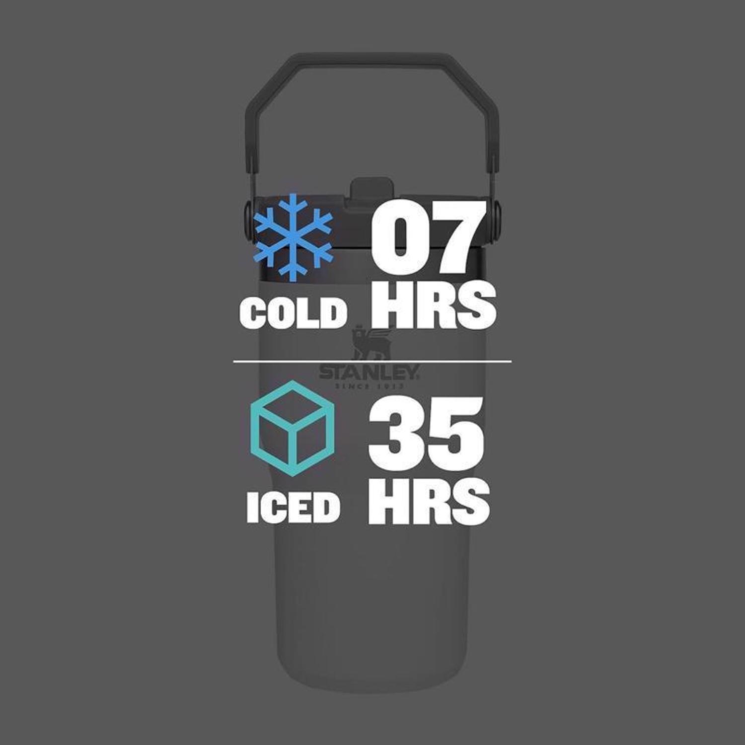 Stanley The IceFlow 20 oz Polar BPA Free Double-wall vacuum insulation Insulated Straw Tumbler