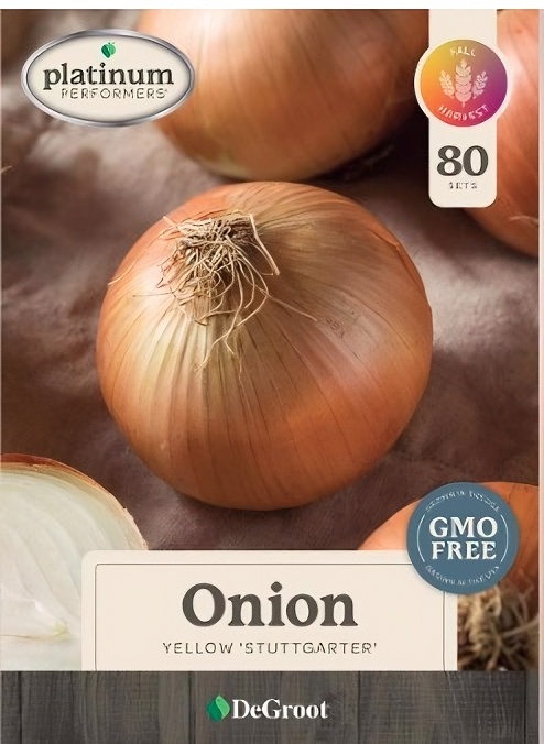 Bulbs DeGroot Yellow Onion