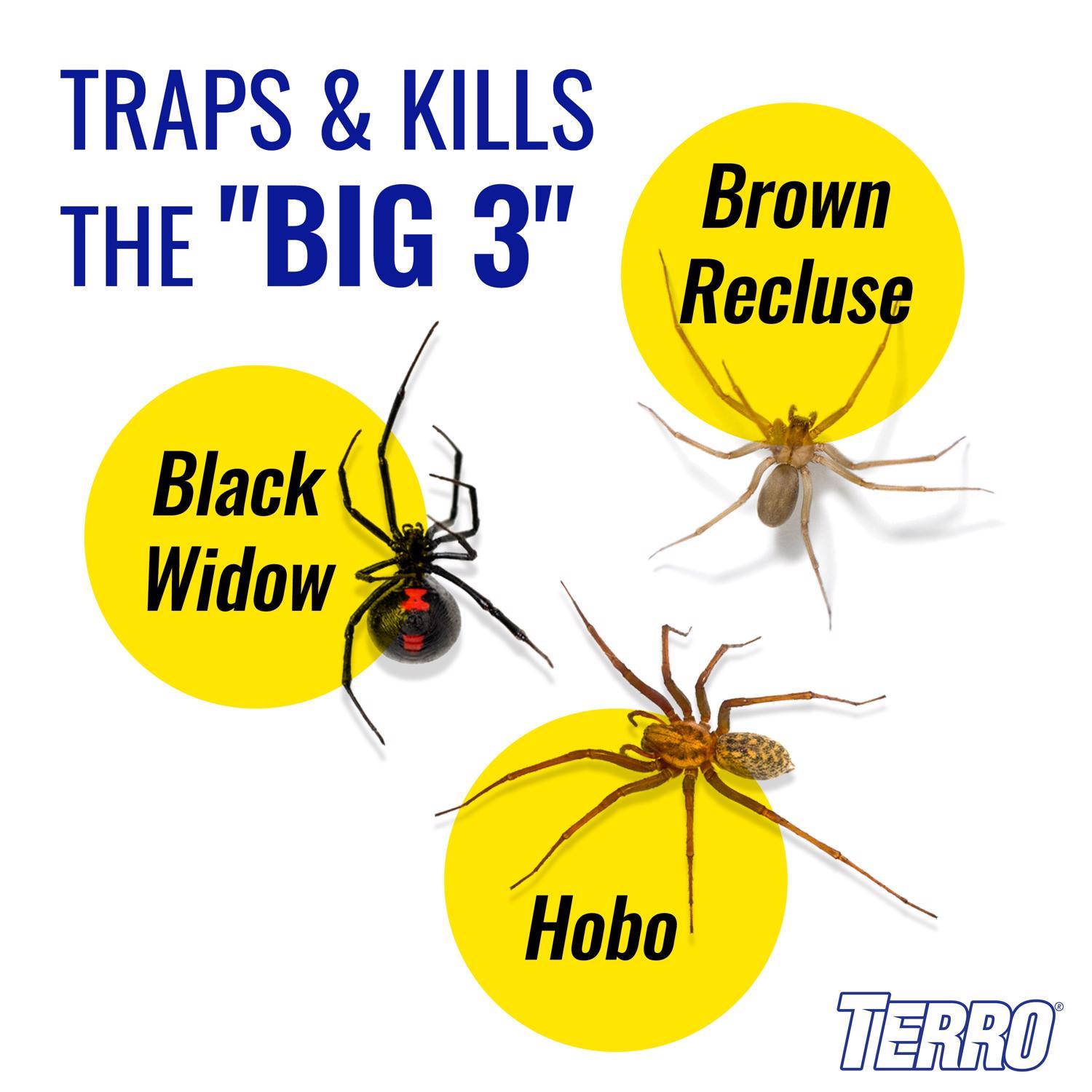 TERRO Insect Trap 4 pk