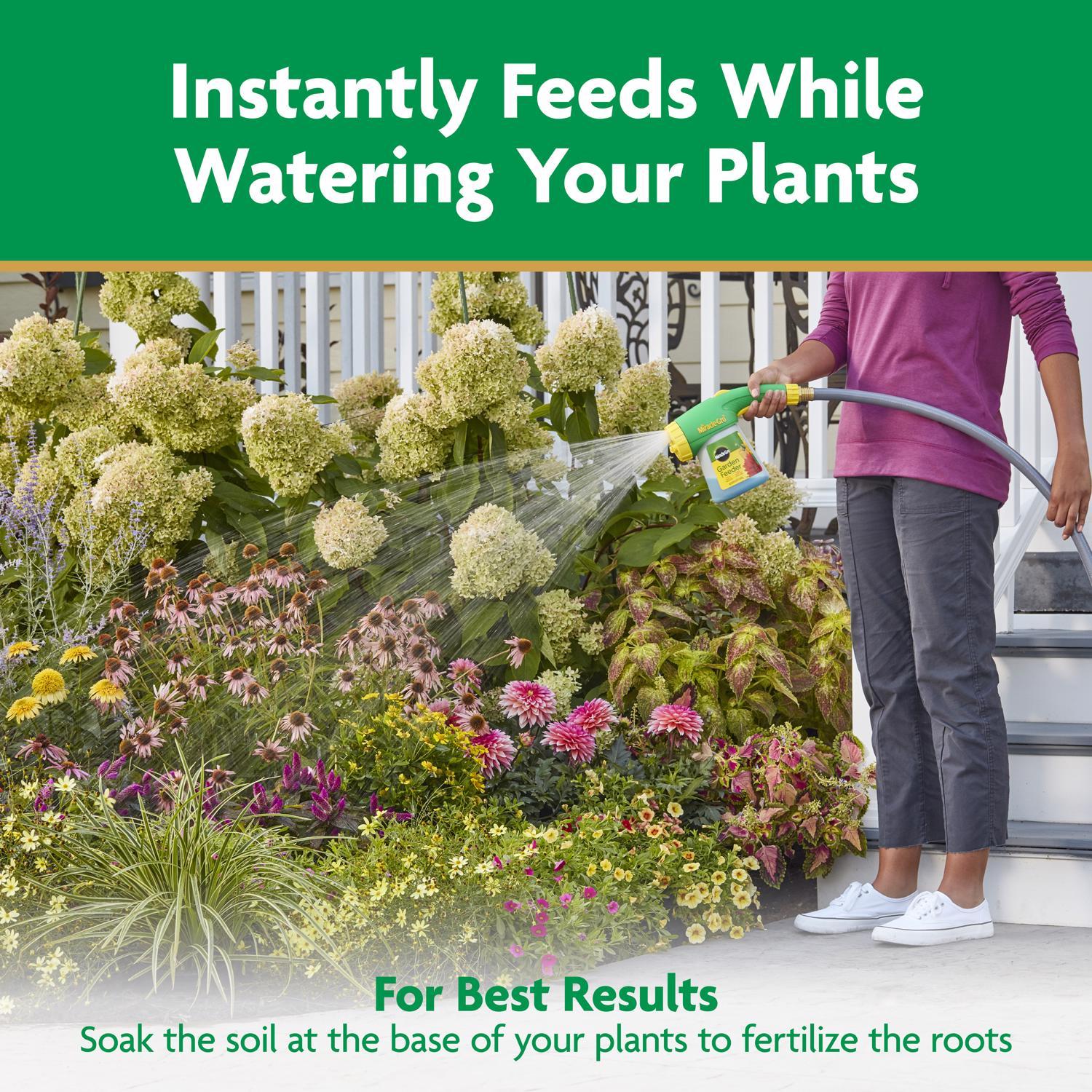 Miracle-Gro Bloom Booster Powder Plant Food 1 lb