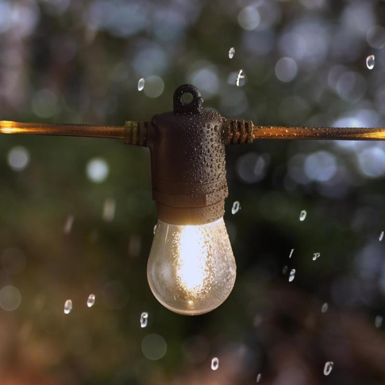 Feit LED Firefly Rope String Light Set Clear 24 ft. 12 lights