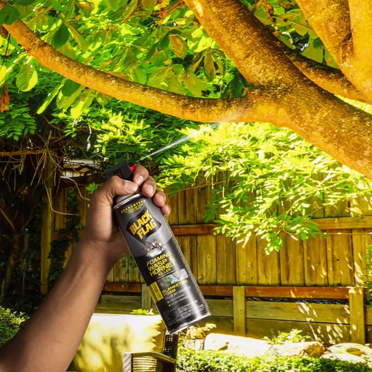 Black Flag Wasp and Hornet Killer Foam 14 oz.