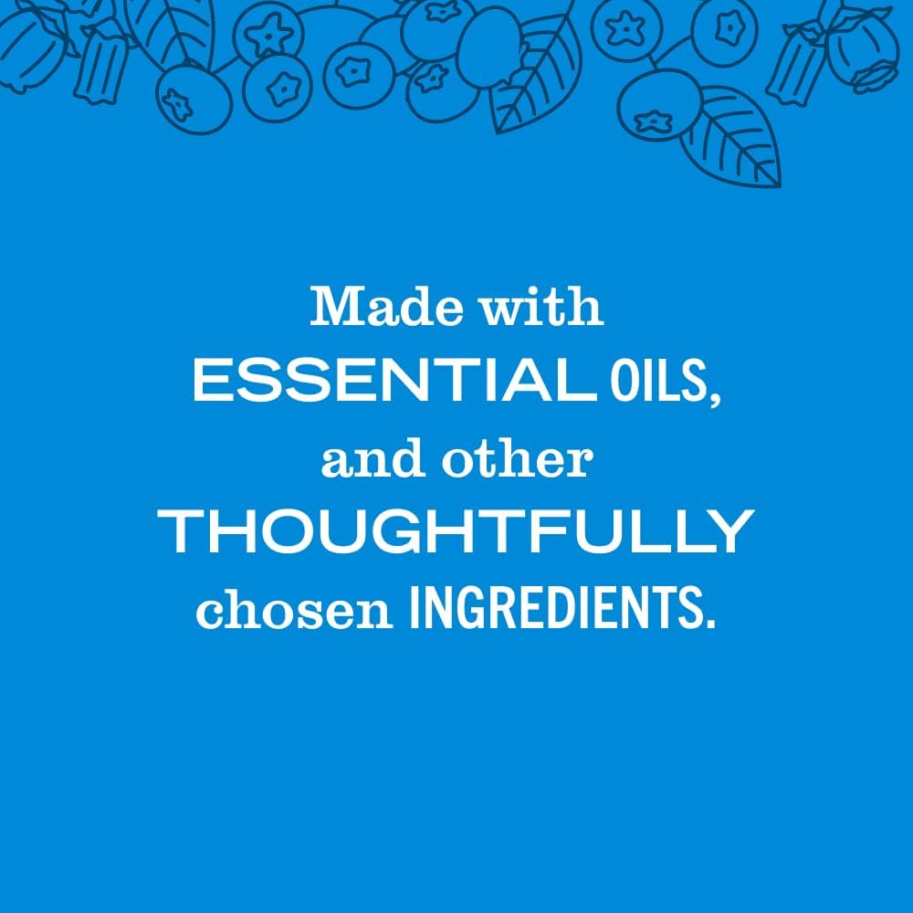 Mrs. Meyer's Clean Day Liquid Hand Soap Blueberry 12.5 oz