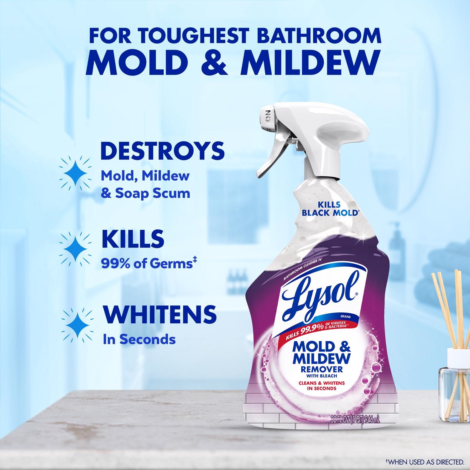 Lysol Mold and Mildew Stain Remover 32 oz