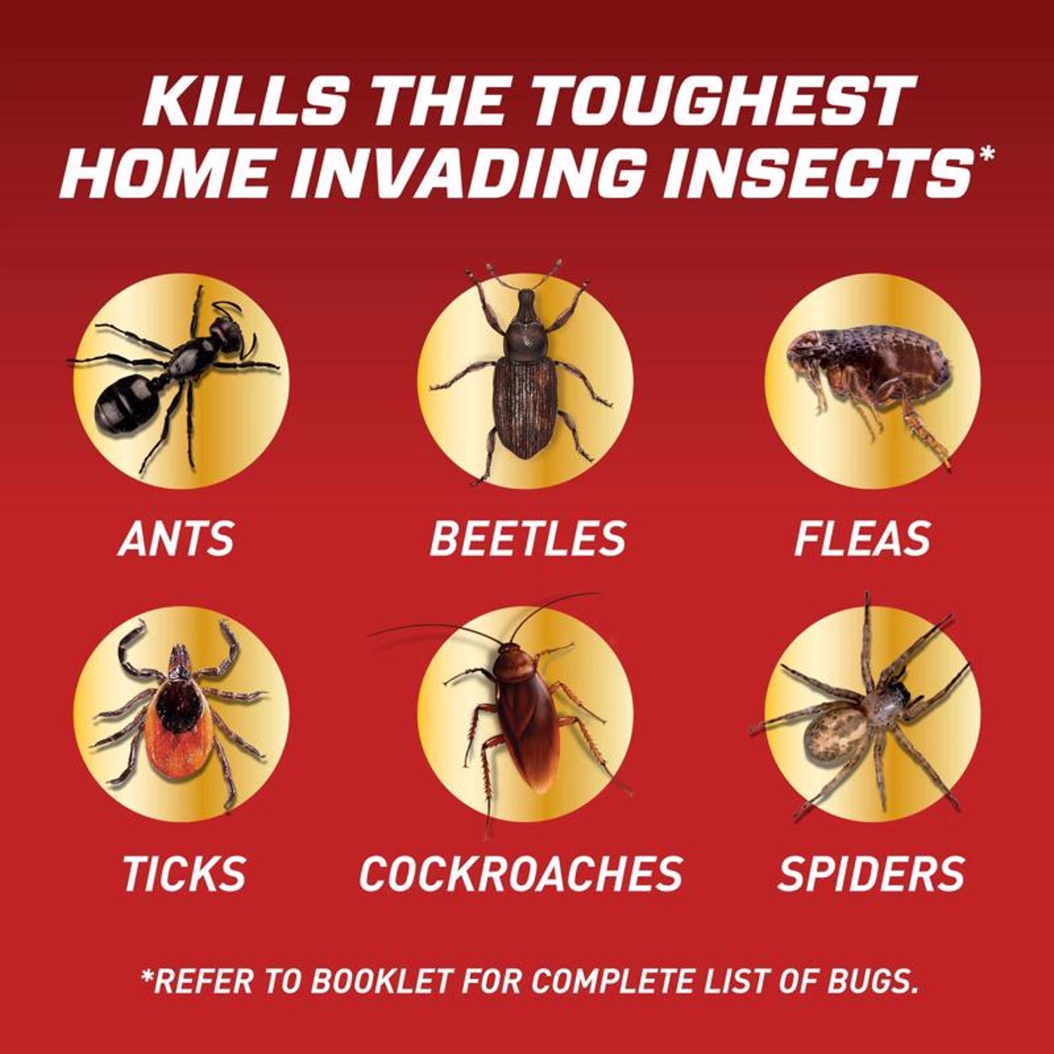 Ortho Home Defense Insect Killer Liquid 1.1 gal