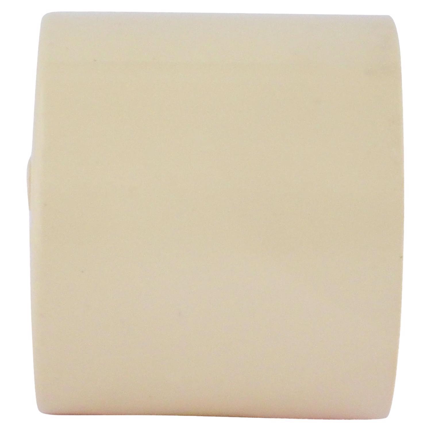 Charlotte Pipe FlowGuard 3/4 in. Hub CPVC Cap 1 pk