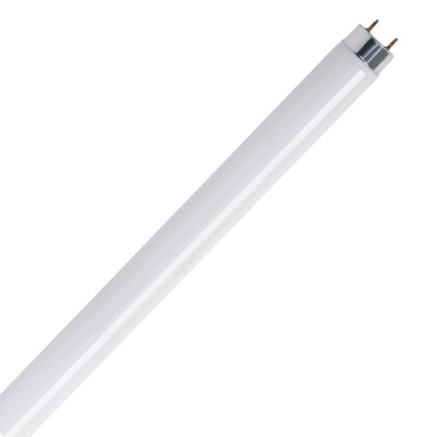 Feit 20 watt 1.5 in. Dia. x 24 in. L Fluorescent Bulb Cool White Linear 2 pk