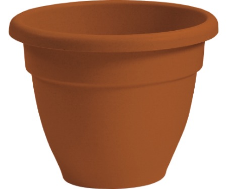 The HC Companies Caribbean Pots - Clay (6 in. dia.)
