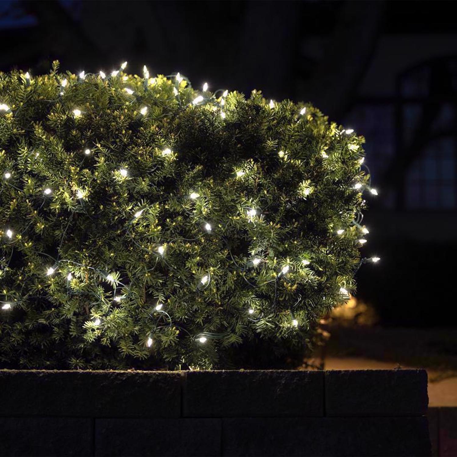 Celebrations Classic LED T5 Pure White 100 ct Net Christmas Lights 4 ft.