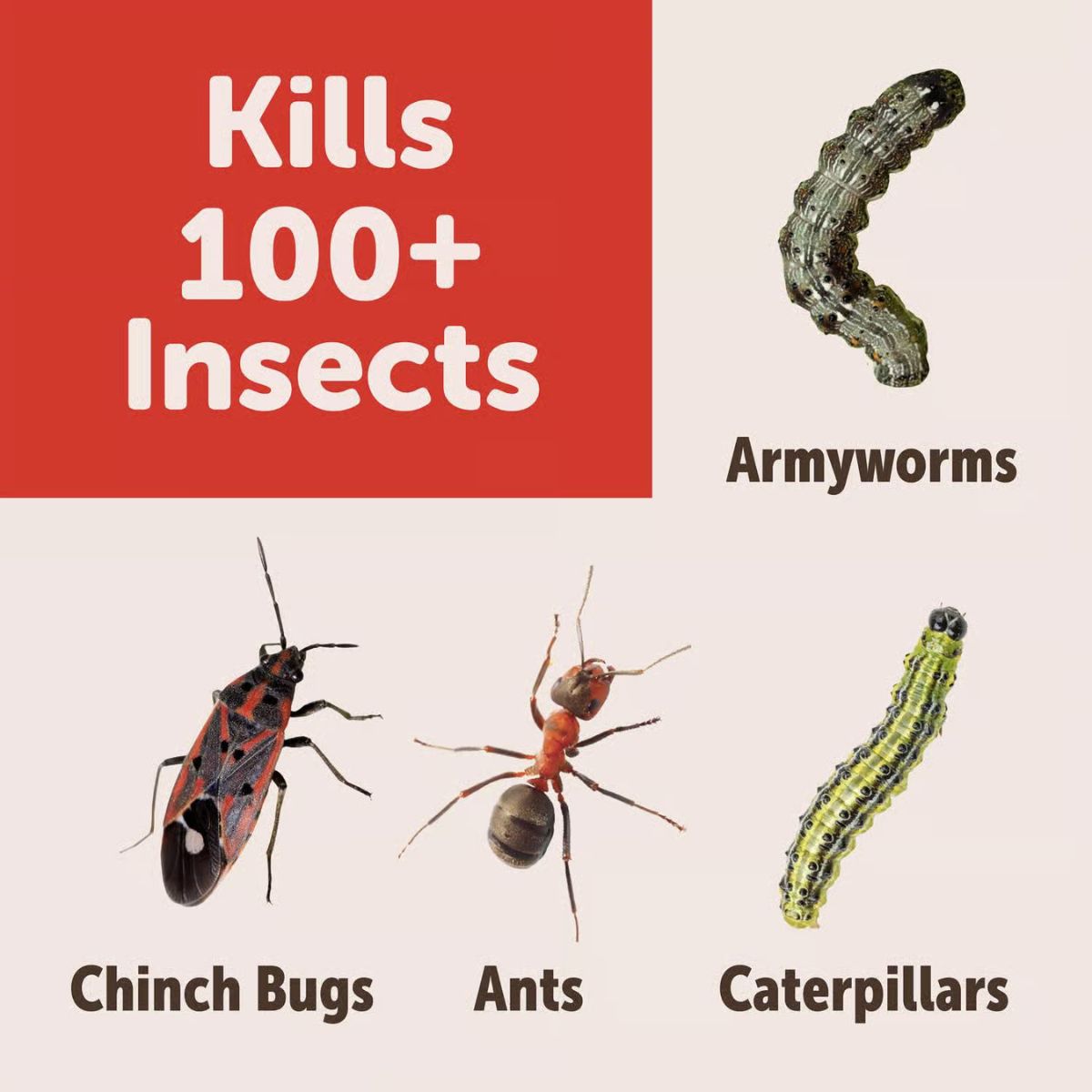 Sevin Insect Killer Granules 3 lb.