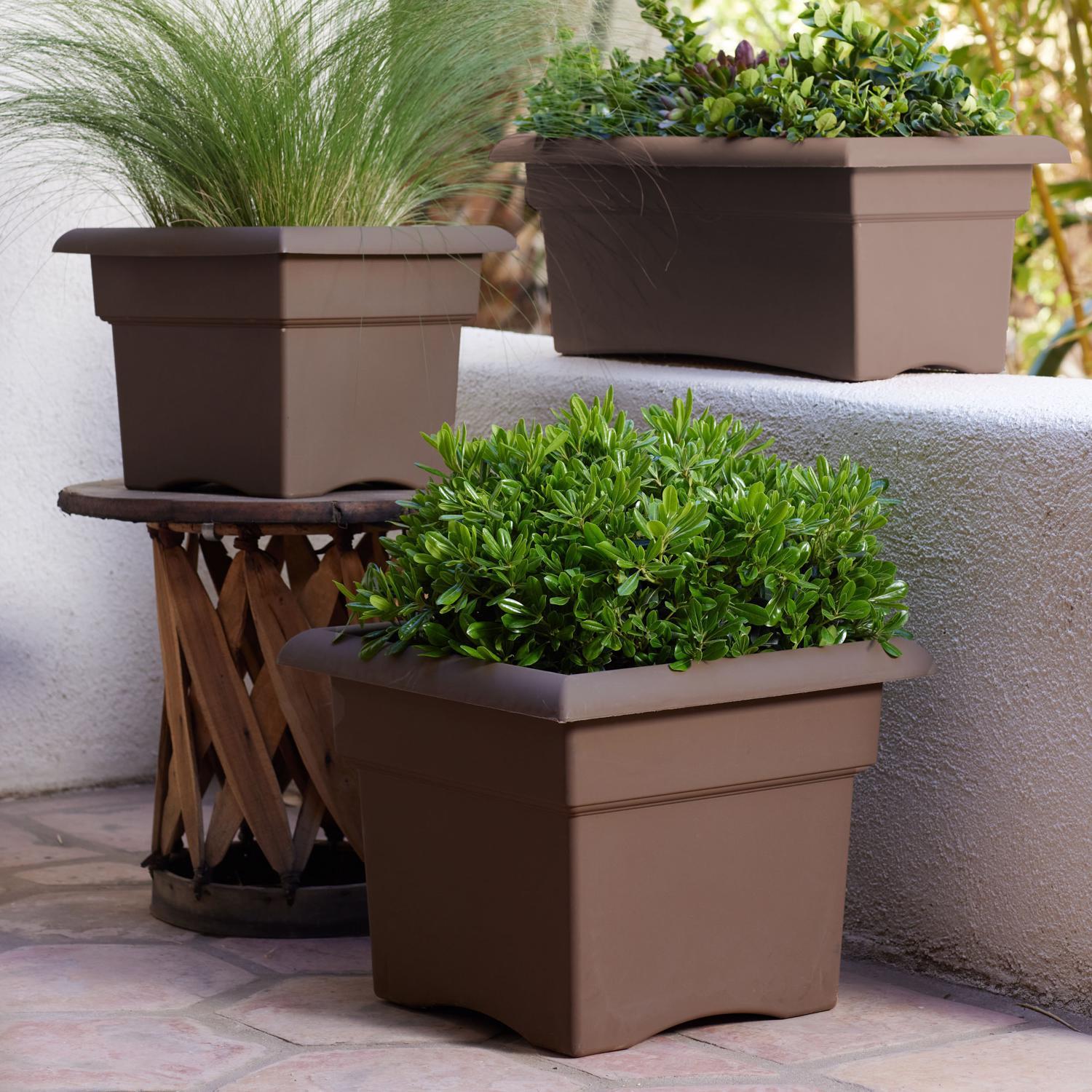 Bloem Veranda 11.25 in. H X 14 in. W X 14 in. D Plastic Traditional Planter Box Chocolate