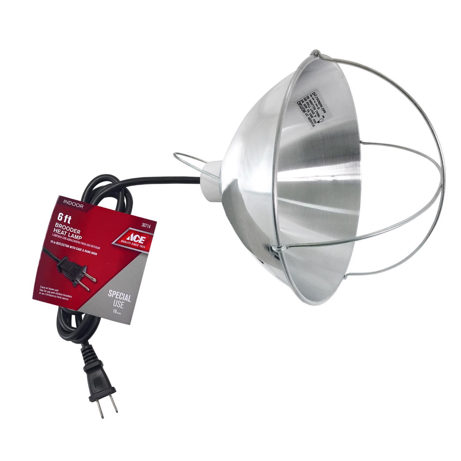 Ace 250 W Brooder and Heat Lamp