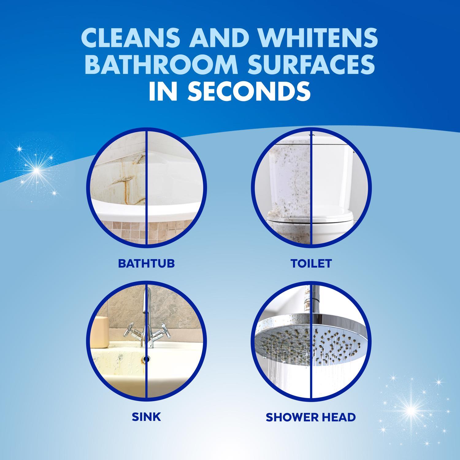 Lysol Mold and Mildew Stain Remover 32 oz