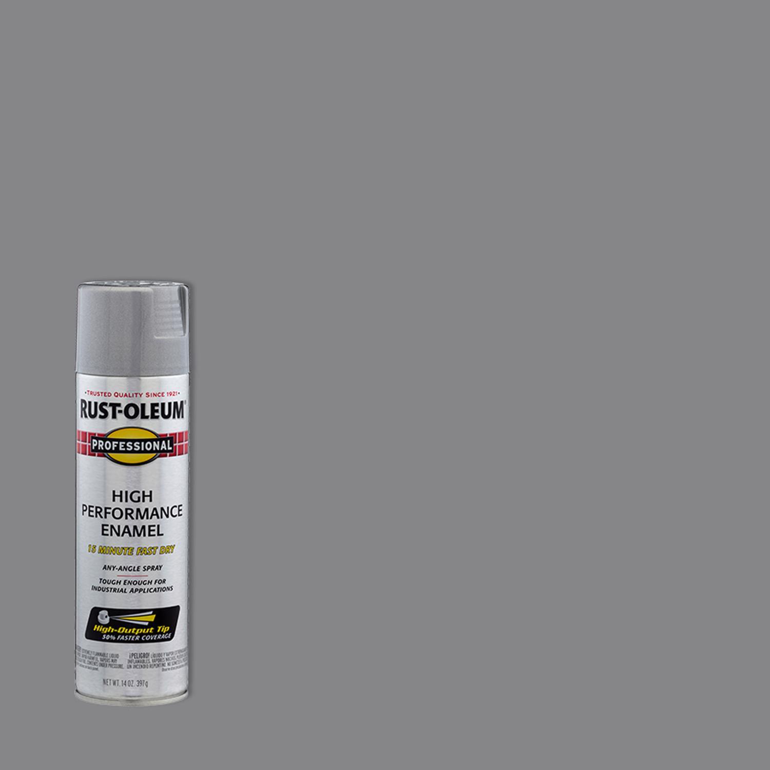 RustOleum Professional Gloss Aluminium Spray Paint 15 oz Stine Home + Yard The Family You